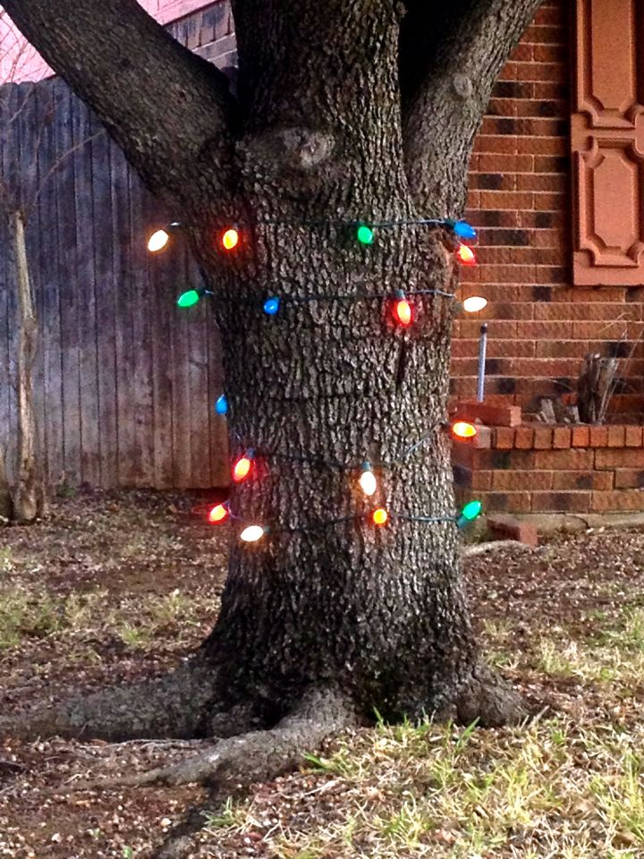 There's always a tree that needs lighted...even if you only have 1 spare strand of lights to string
